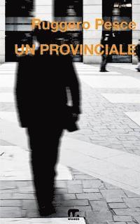 bokomslag Un provinciale