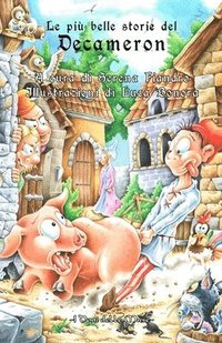 bokomslag più belle storie del Decameron
