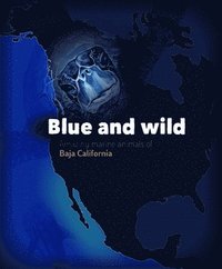 bokomslag Blue and Wild: Amazing Marine Animals of Baja California