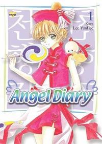 bokomslag Angel Diary: v. 1