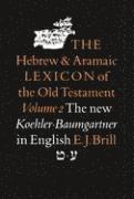 bokomslag Hebrew and Aramaic Lexicon of the Old Testament, The: Tet-Ayin