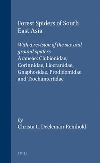 bokomslag Forest Spiders of South East Asia
