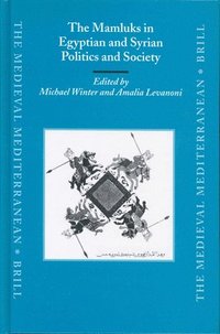 bokomslag The Mamluks in Egyptian and Syrian Politics and Society