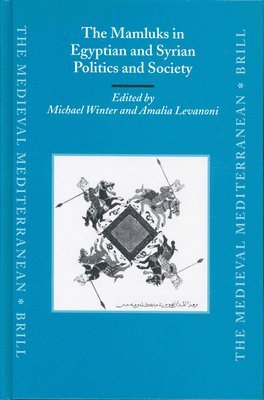 bokomslag The Mamluks in Egyptian and Syrian Politics and Society