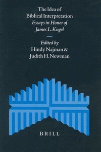 bokomslag Idea of Biblical Interpretation