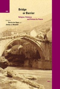 bokomslag Bridge or Barrier: Religion, Violence and Visions for Peace