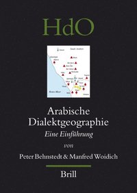 bokomslag Arabische Dialektgeographie