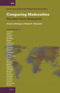 bokomslag Comparing Modernities: Pluralism Versus Homogenity. Essays in Homage to Shmuel N. Eisenstadt