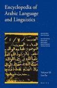 bokomslag Encyclopedia of Arabic Language and Linguistics, Volume 3