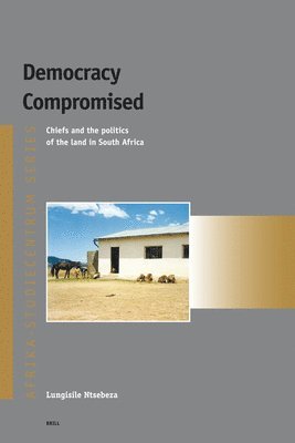bokomslag Democracy Compromised