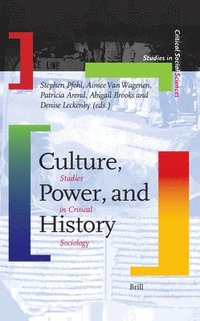 bokomslag Culture, Power, and History