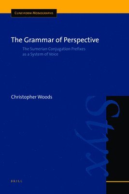 bokomslag The Grammar of Perspective: The Sumerian Conjugation Prefixes as a System of Voice