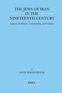 bokomslag The Jews of Iran in the Nineteenth Century (Paperback): Aspects of History, Community, and Culture