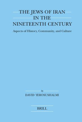 The Jews of Iran in the Nineteenth Century (Paperback): Aspects of History, Community, and Culture