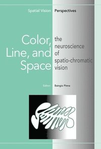 bokomslag Color, Line, and Space