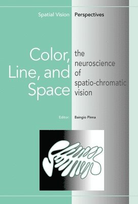 bokomslag Color, Line, and Space