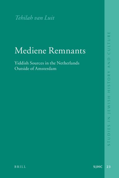 Tehilah van Luit - Mediene Remnants, Inbunden