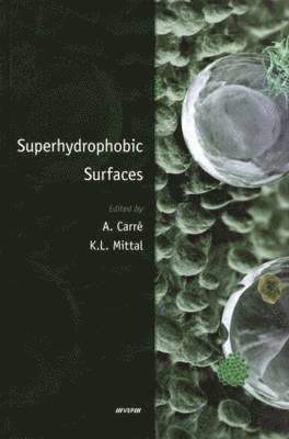 Superhydrophobic Surfaces 1