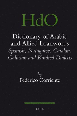 bokomslag Dictionary of Arabic and allied loanwords