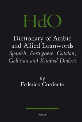 bokomslag Dictionary of Arabic and Allied Loanwords: Spanish, Portuguese, Catalan, Galician and Kindred Dialects