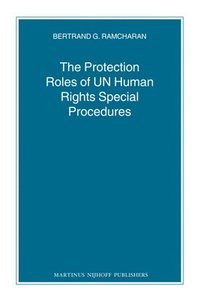bokomslag The Protection Roles of UN Human Rights Special Procedures