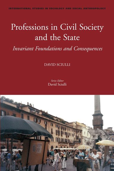 David Sciulli - Professions in Civil Society and the State, Inbunden
