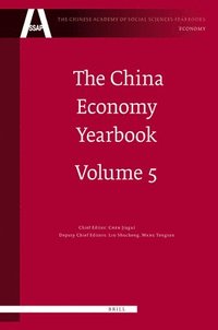 bokomslag The China Economy Yearbook, Volume 5