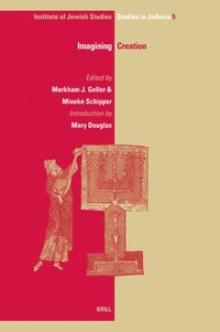 bokomslag Imagining Creation (paperback)