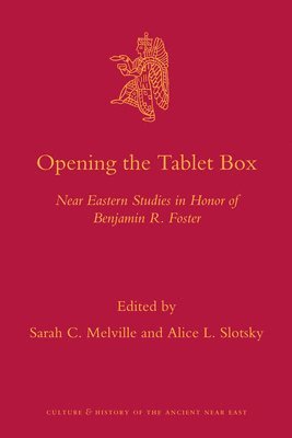 bokomslag Opening the Tablet Box
