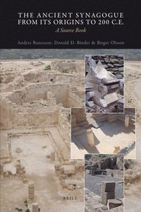 bokomslag Ancient Synagogue from its Origins to 200 C.E.