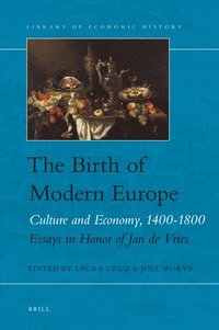 bokomslag The Birth of Modern Europe: Culture and Economy, 1400-1800. Essays in Honor of Jan de Vries
