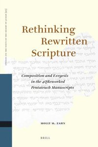 bokomslag Rethinking Rewritten Scripture