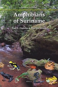 bokomslag Amphibians of Suriname