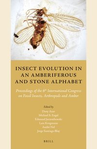 bokomslag Insect Evolution in an Amberiferous and Stone Alphabet