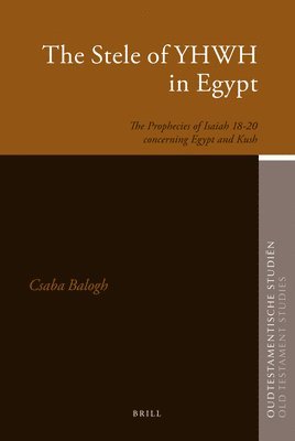 bokomslag Stele of YHWH in Egypt