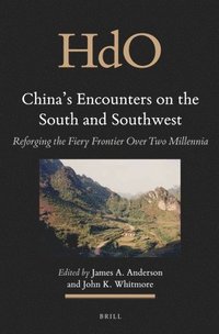 bokomslag China's Encounters on the South and Southwest