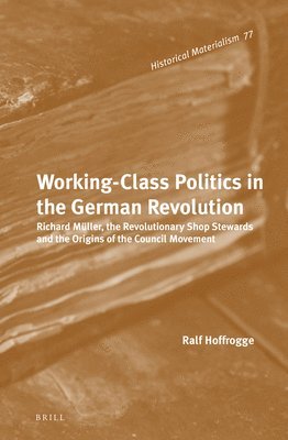bokomslag Working-Class Politics in the German Revolution