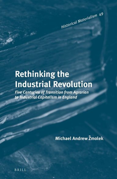 Michael Andrew Žmolek - Rethinking the Industrial Revolution, Inbunden