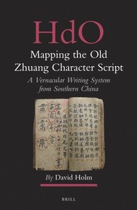 bokomslag Mapping the Old Zhuang Character Script: A Vernacular Writing System from Southern China