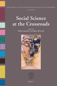 bokomslag Social Science at the Crossroads