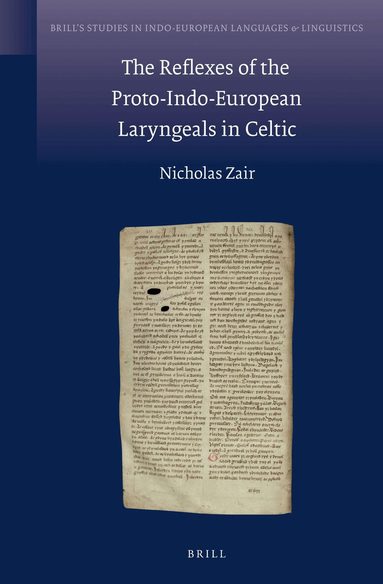 Nicholas Zair - Reflexes of the Proto-Indo-European Laryngeals in Celtic, Inbunden