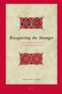 bokomslag Recognizing the Stranger