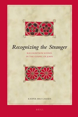 bokomslag Recognizing the Stranger