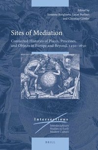 bokomslag Sites of Mediation