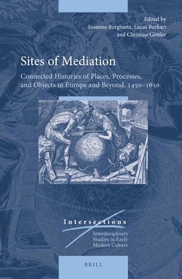 bokomslag Sites of Mediation