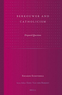 bokomslag Berkouwer and Catholicism