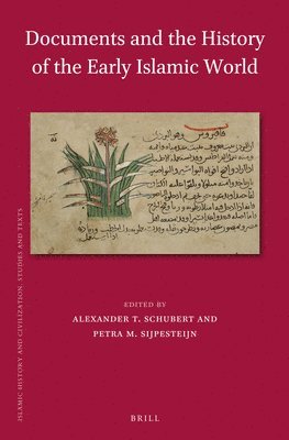 bokomslag Documents and the History of the Early Islamic World