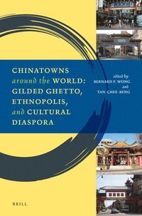 bokomslag Chinatowns around the World