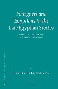 bokomslag Foreigners and Egyptians in the Late Egyptian Stories