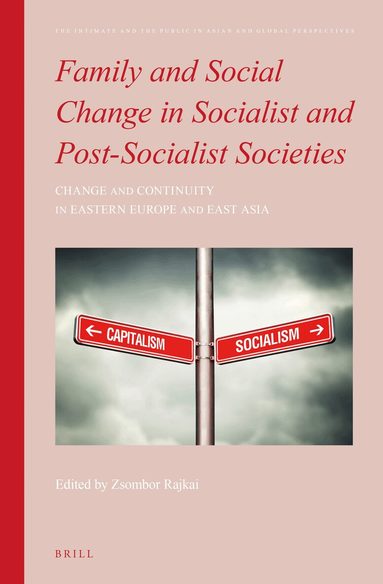 Zsombor Rajkai - Family and Social Change in Socialist and Post-Socialist Societies, Inbunden